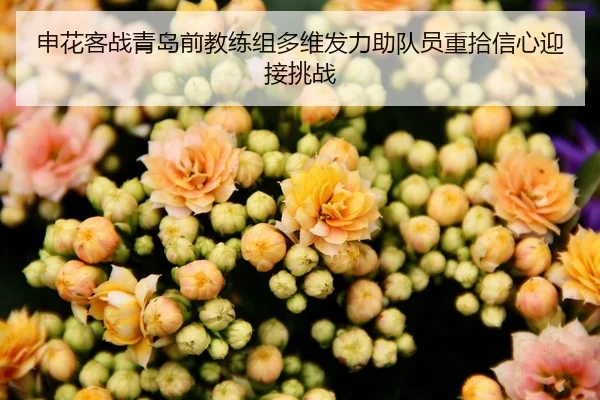 申花客战青岛前教练组多维发力助队员重拾信心迎接挑战 | HUOBOTIYU